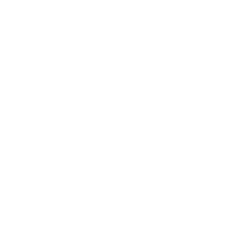 MovementX logo